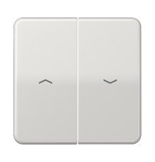 Клавиши для выключателя управления жалюзи 509VU и кнопки 539VU; светло-серые  CD595PLG  Jung