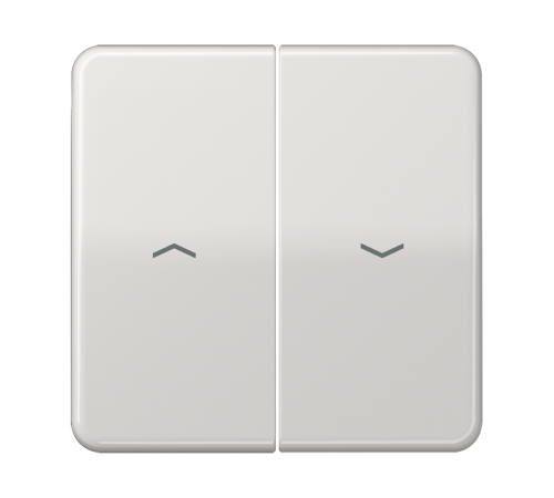 Клавиши для выключателя управления жалюзи 509VU и кнопки 539VU; светло-серые  CD595PLG  Jung