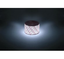 Лента светодиодная LS2835-9,6-120-12-6500K-IP65-2year-5m  Б0044115  ЭРА