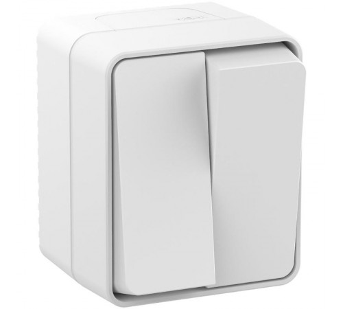 AtlasDesign Profi54 Белый О/У Выключатель 2-клавишный 10 АХ  ATN540151  SE