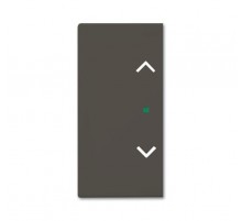 SRB-2-95 Клавиша двойная free@home, жалюзи, Basic 55, цвет chateau-black  6220-0-0693   2CKA006220A0693  ABB