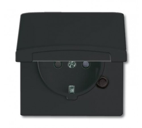 Розетка SCHUKO, 20 EUGKB-35-101, с крышкой, с защитными шторками, Allwetter44, IP44, черный/антрацит, 16А, 250В.  2064-0-0295   2CKA002064A0295  AB