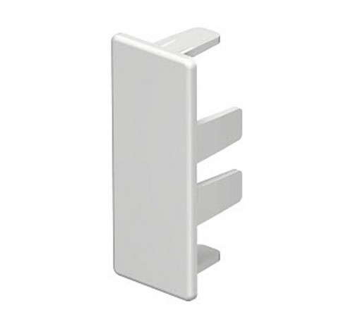 Торцевая заглушка кабельного канала WDK 20x50 мм (ПВХ,белый) (WDK HE20050RW)  6154557  OBO Bettermann