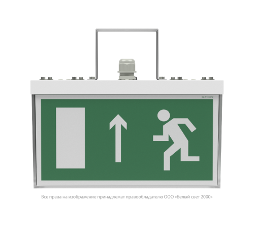 Световой указатель аварийного освещения BS-ADAMAT-51-S1-STABILAR2  a15398  Белый свет