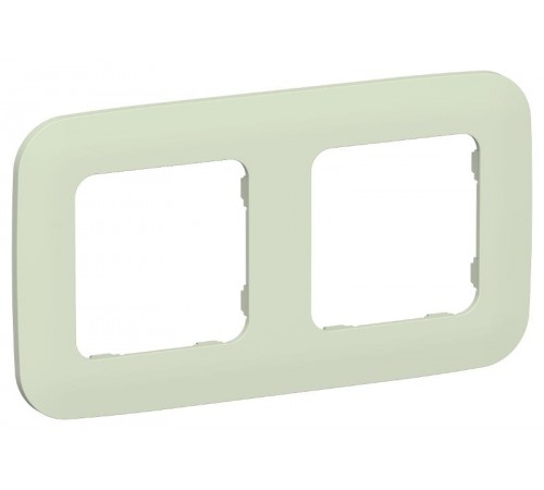 FLITE Artistic Рамка 2-ая РУ-2-А-ФлП панг  FI-M22-31-20-K92  IEK