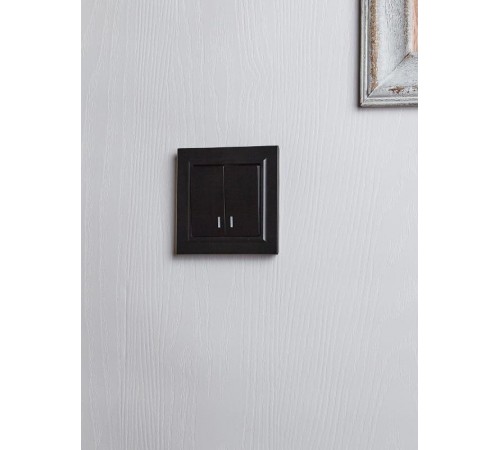 BRITE Выключатель 2-клавишный с индикацией 10А ВС10-2-1-БрЧ черный   BR-V20-1-10-K02  IEK