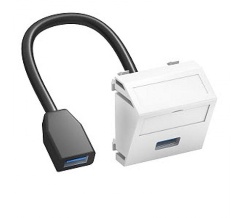 Мультимедийная рамка USB 3.0 A-A Modul45 (белый) (MTS-U3A F RW1)  6104934  OBO Bettermann