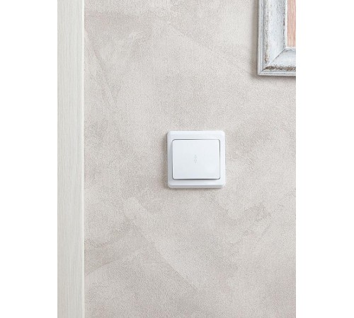 ВЕГА белый Выключатель 1-клавишный проходной 10А ВСп10-1-0-ВБ  EVV12-K01-10-DM  GENERICA