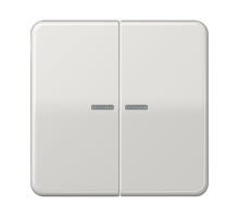 Клавиши ударопрочные для сдвоенногых выключателей с подсветкой; светло-серые  CD595KO5BFLG  Jung