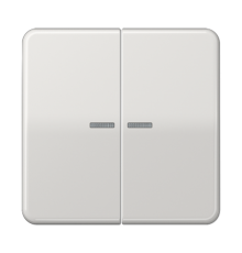 Клавиши ударопрочные для сдвоенногых выключателей с подсветкой; светло-серые  CD595KO5BFLG  Jung