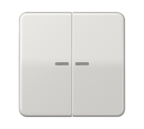 Клавиши ударопрочные для сдвоенногых выключателей с подсветкой; светло-серые  CD595KO5BFLG  Jung