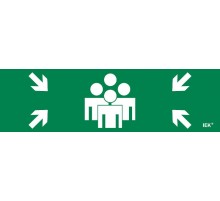 Этикетка самокл. 310х90мм "Место сбора"   LPC10-1-31-09-MSTS  IEK