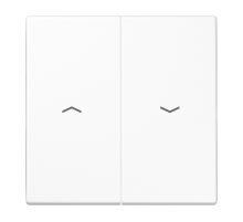 2-я клавиша с символами "стрелки" для балансирных мех выкл (кнопок), в комплекте с CD95HP, возможно IP44; дюропласт; белый; LS990 LS995PWW Jung