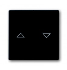 Клавиша для 2-клавишных выключателей/переключателей/кнопок с символом "??", глухая, Impressivo, антрацит  1785JA-81   2TKA000530G1  ABB