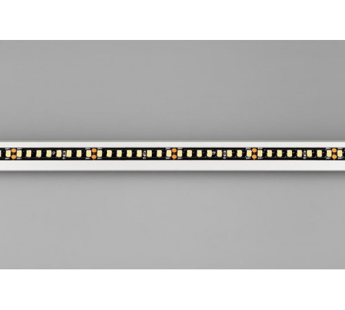 Лента светодиодная RT-5000-2835-160-24V Day4000 (Black 8mm, 12W/m, IP20) (arlight, -)  029427(1)  Arlight