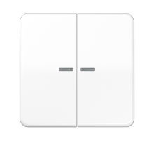 Клавиша для KNX кнопки, 2 группы с окошком; дюропласт; белый CD102KO5WW Jung