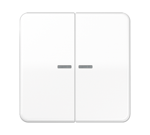 Клавиша для KNX кнопки, 2 группы с окошком; дюропласт; белый CD102KO5WW Jung