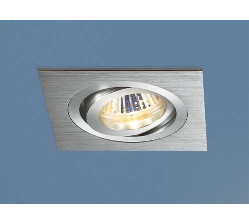 Светильник встраиваемый карданный 1011/1 MR16 CH хром  a029902  Elektrostandard