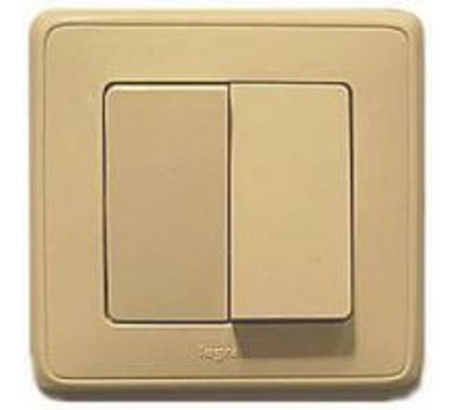 Cariva Сл. кость Выключатель 2-х клавишный  773758  Legrand