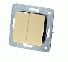 Cariva Сл. кость Выключатель 2-х клавишный  773758  Legrand