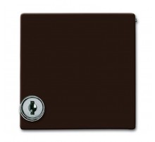 Плата промежуточная с крышкой для центр. плат , с индивидуальным зам., IP44, серия Allwette 44, цвет коричневый  1710-0-3788   2CKA001710A3788  ABB