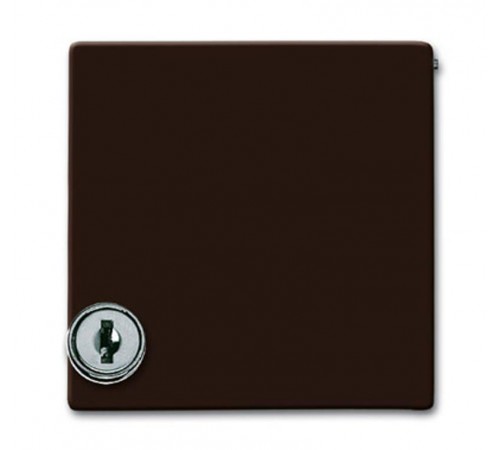 Плата промежуточная с крышкой для центр. плат , с индивидуальным зам., IP44, серия Allwette 44, цвет коричневый  1710-0-3788   2CKA001710A3788  ABB