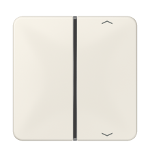 клавиша с символом для пульта KNX, слоновая кость, для серии CD  CD401TSAP  Jung