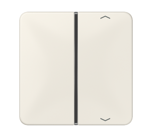 клавиша с символом для пульта KNX, слоновая кость, для серии CD  CD401TSAP  Jung