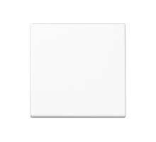 Одинарная клавиша для балансирных механизмов выключателей (кнопок), в комплекте с AS90HP (крепежный элемент), возможно IP44; дюропласт; белый; A500  