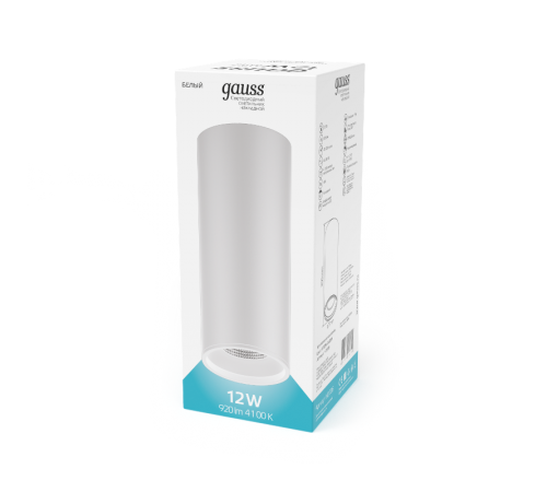 Светильник светодиодный декоративный бытовой HD013 12W (белый) 4100K 79x200мм  HD013  Gauss