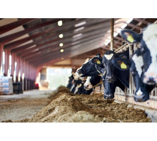 Светильник светодиодный промышленный линейный ДСП 1472 36Вт 5000К IP69 PMMA для агрессивных сред  LDSP0-1472-36-5000-K01  IEK