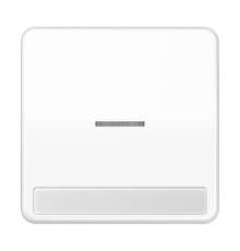 Клавиша с окошком для выключателя с подсветкой и полем для надписи; белая  CD590NAKO5WW  Jung