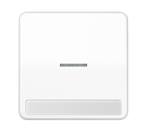 Клавиша с окошком для выключателя с подсветкой и полем для надписи; белая  CD590NAKO5WW  Jung