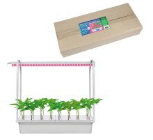 Набор для гидропоники "Минисад AQUA SIMPLE", св-к LED, ULT-P44B-10W/SPSB IP40 AQUA SIMPLE WHITE спектр для рассады и цвет, белый  UL-00004498  Uniel