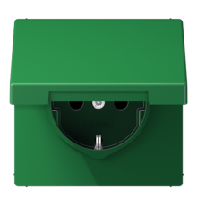 SCHUKO розетка с защитой от детей и крышкой LS1520BFKIKLGN Jung