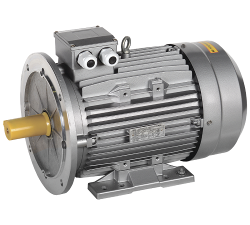 Электродвигатель 3ф.АИС 250M8 660В 30кВт 750об/мин 2081 (лапы+фланец) DRIVE  AIS250-M8-030-0-0720  ONI