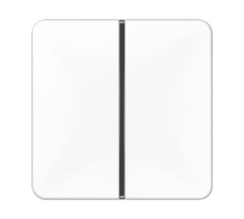 SCHUKO-розетка с крышкой CD1520NAKLKOGN Jung