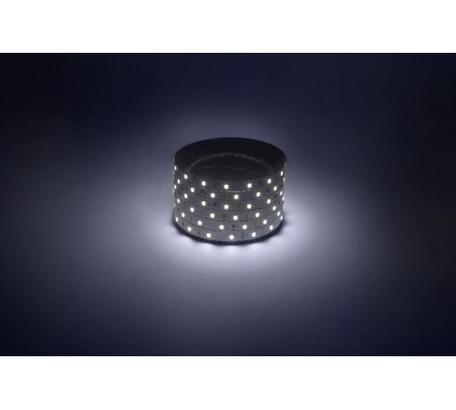 Лента светодиодная  LS2835 -4,8-60-12-6500K-IP20-1 year-50m холодный белый 50м  Б0059923  ЭРА