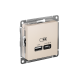 AtlasDesign Бежевый USB Розетка A + тип-C 45W высокоскоростной заряд QC PD  ATN000229  SE