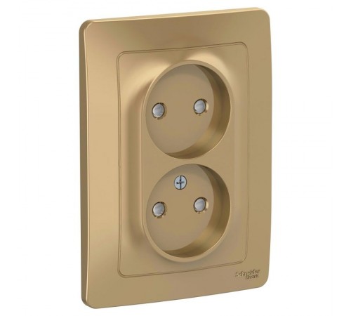 Blanca Титан С/У Розетка 2-ая без заземления со шторками, 16А, 250В  BLNRS000124  SE