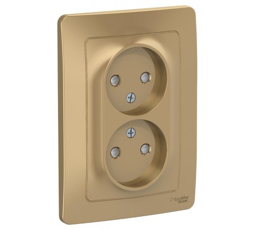 Blanca Титан С/У Розетка 2-ая без заземления со шторками, 16А, 250В  BLNRS000124  SE