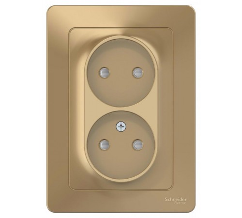 Blanca Титан С/У Розетка 2-ая без заземления со шторками, 16А, 250В  BLNRS000124  SE