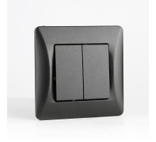 Выключатель двухклавишный, 10А, 220-250V (антрацит)  201122  SPL