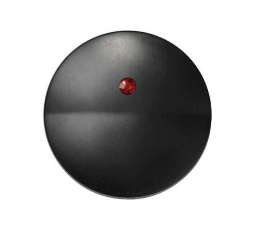 Simon 88 Клавиша для выключателя одноклавишного с контрольной подстветкой, S88, графит  88012-38  Simon