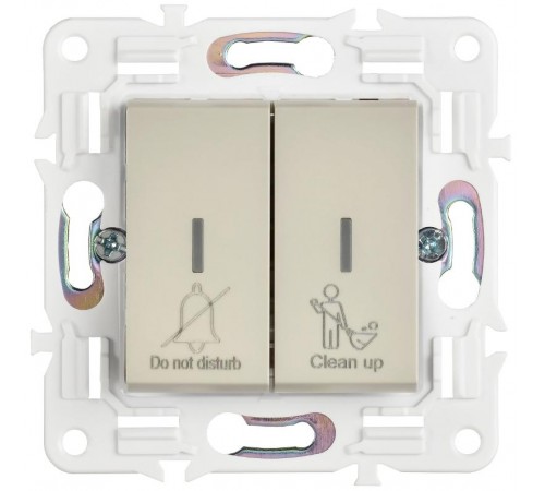 SKANDY Выключатель 2-клавишный с индикацией для отелей 10А SK-V16B бежевый   SK-V20-2-10-K10  IEK