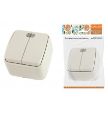 Выключатель 2-кл. открытой установки с подсветкой IP20 10А, сл. кость "Дача" Народная  SQ1824-0017  TDM