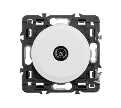 Celiane Мех TV розетка единственная разъём папа 2 мод  067382  Legrand
