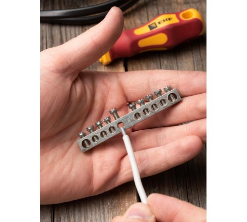 Шина "PE" 63.10 (никель) EKF PROxima  sn1-63-10  EKF