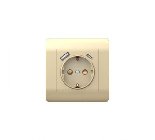 Розетка с/з со шторками, 16А+ USB двойная A+С, 5В/2,1А, шампань(NEW3-E)  431453  CHINT