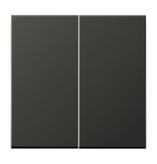 Центральная плата 2 группы стандарт; металл; антрацит  AL1702AN  Jung